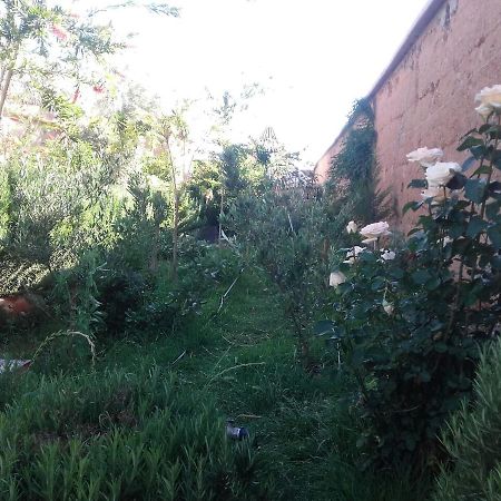 Auberge Toda Ait Igad Екстер'єр фото